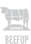 BEEFUP