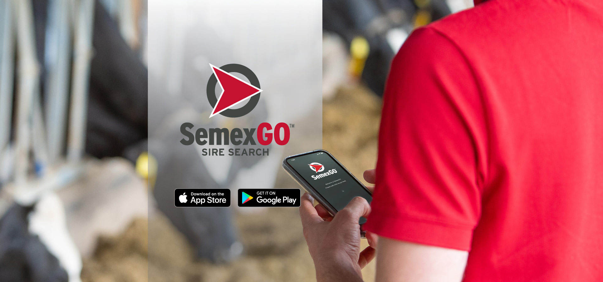 SemexGO2024_AUGbanner-EN.jpg